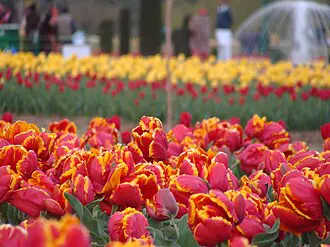 Vaishno Devi Kashmir Yatra